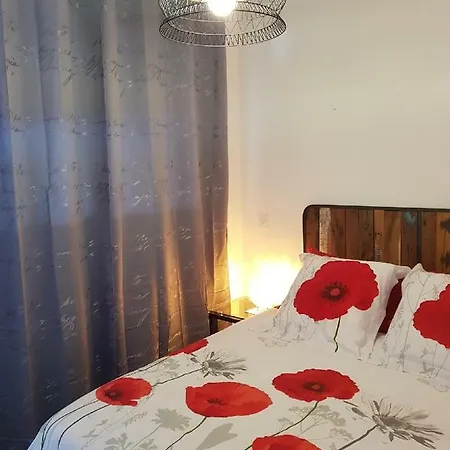 Les Coquelicots 펜션 *